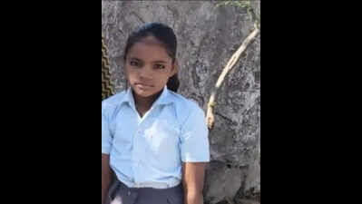 Stray dogs maul 9-year-old to death in Bundi village