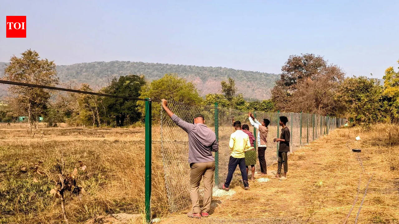 Debrigarh sanctuary fencing: Protecting wildlife, reducing human-animal conflict and enabling tiger translocation