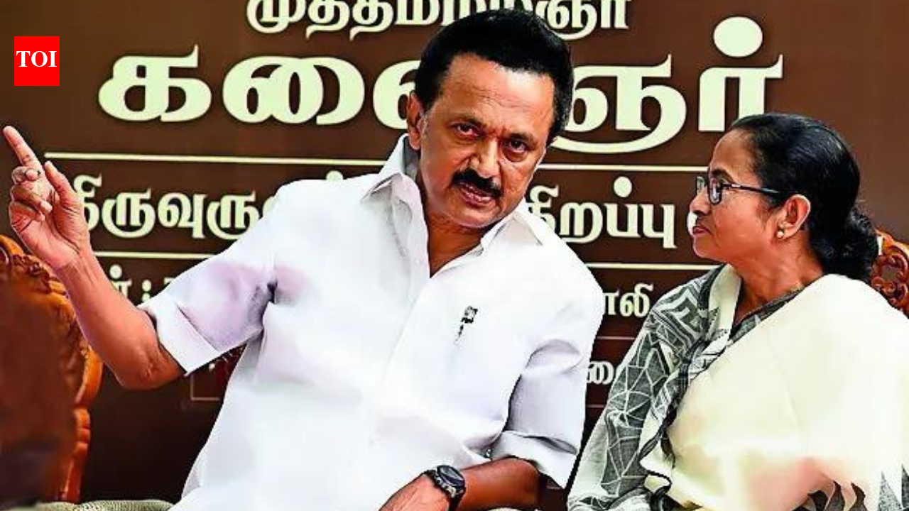 Assembly elections result: INDIA footprint fades on Bharat map as allies stumble in WB, TN