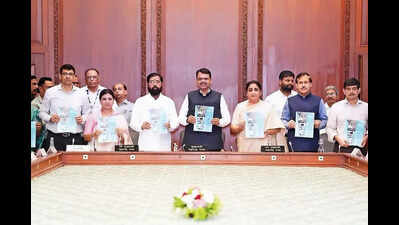 CM directs PMRDA to ready structural plan in six months, set up SPV for twin tunnel