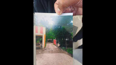 Illegal Nightlife In Dark Shankar Nagar Stretch Under High Court Lens