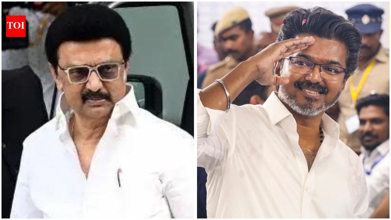 Tamil Nadu: How Vijay beat Stalin - five factors that spelt doom for DMK this time