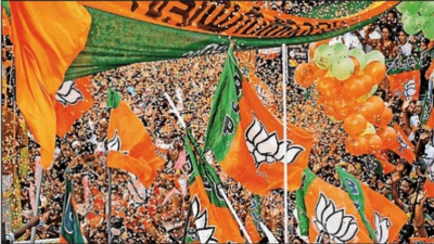 0 to 3: BJP rides on development road