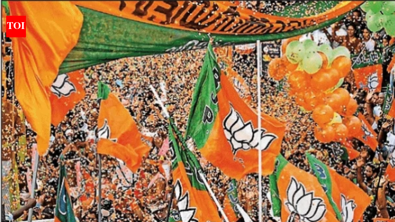0 to 3: BJP rides on development road