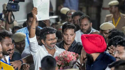 A star is born in Tamil Nadu politics: Quiet, introverted, persistent