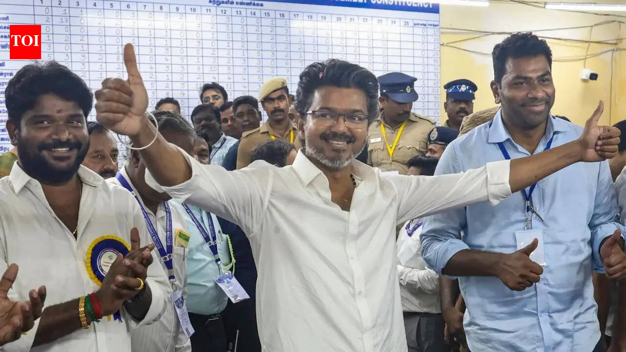 'Will poison your rice if you don’t vote for Vijay': How TVK reeled in a tsunami of votes in TN