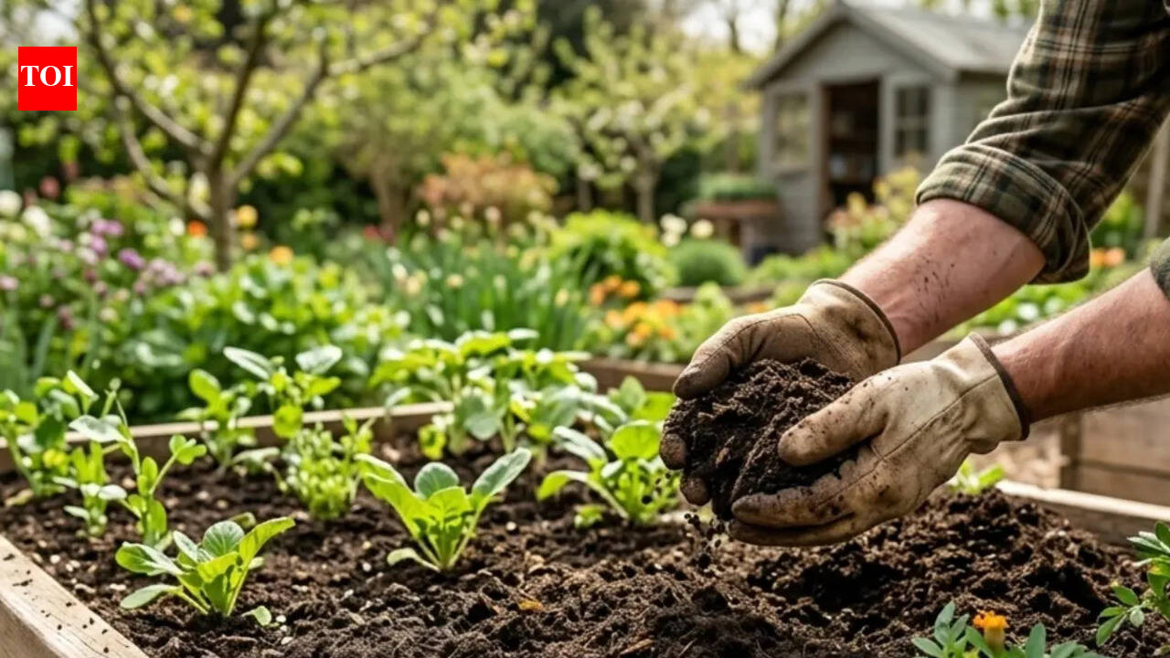 How to make old garden beds look new without replacing the soil