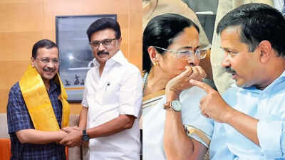 'From 3 seats to 206?' Arvind Kejriwal questions BJP's gains in West Bengal, Delhi; praises Stalin, lauds Vijay's Tamil Nadu surge