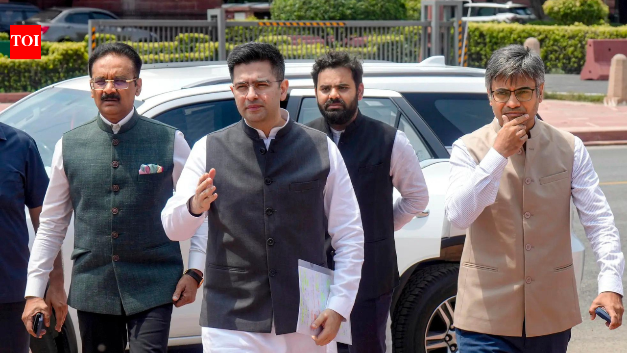 'I am their next target': Raghav Chadha alleges 'vendetta politics' by Punjab govt