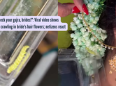 "Always check your gajra, brides!": Viral video shows caterpillar crawling in bride's hair flowers; netizens react
