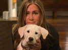 Art inspirations from Jennifer Aniston's home