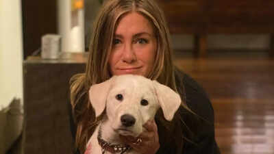 Art inspirations from Jennifer Aniston's home