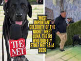 &lsquo;Most important celebrity of the night&rsquo;: Meet Luna, the K9 who quietly stole Met Gala 2026