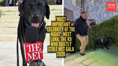 'Most important celebrity of the night': Meet Luna, the K9 who quietly stole Met Gala 2026