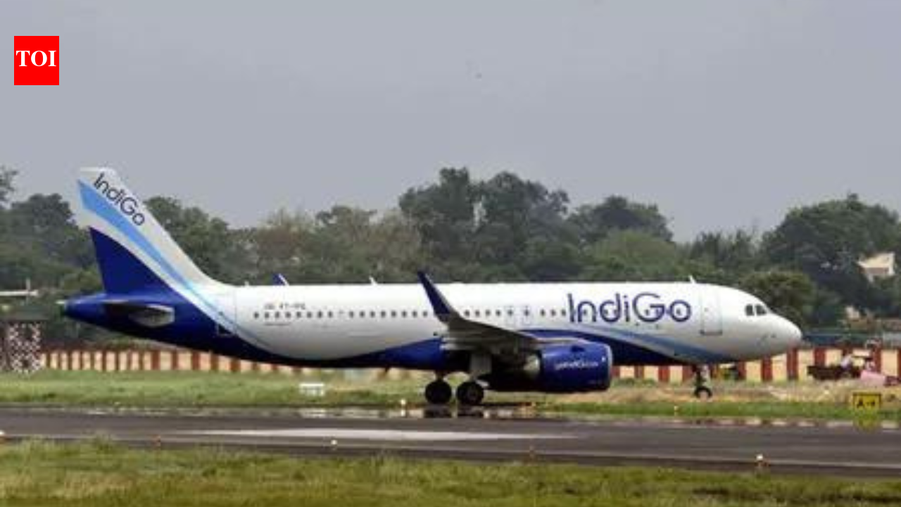 'Smoke from bag, power bank on fire': Indigo flight evacuated at Chandigarh airport
