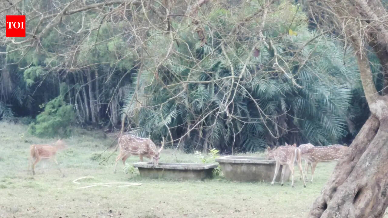Forest dept takes steps to provide water to animals in Bhitarkanika