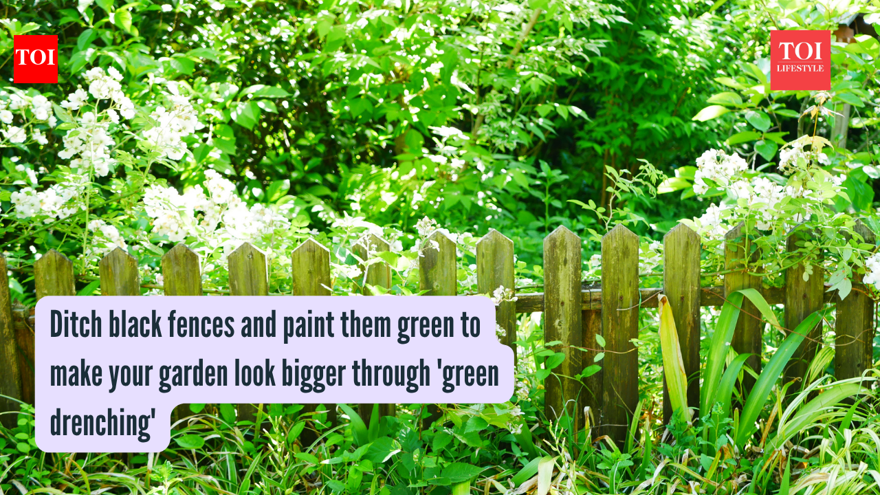 Ditch black fences and paint them green to make your garden look bigger through 'green drenching'