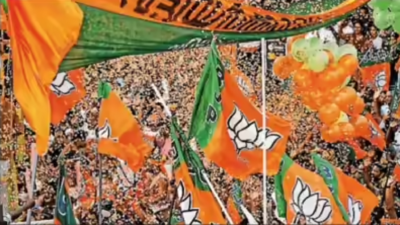 Tamil Nadu election results: BJP - party of one in the house