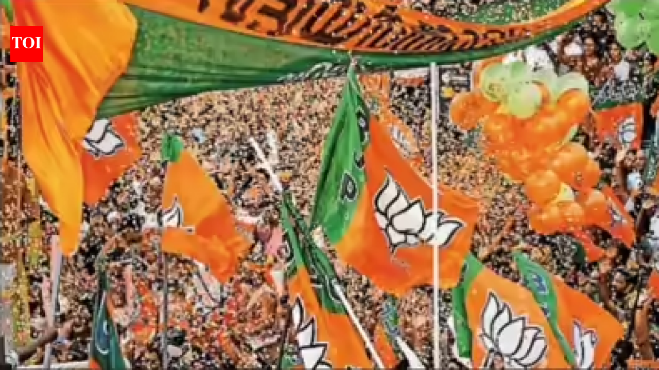 Tamil Nadu election results: BJP - party of one in the house
