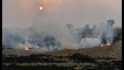 No subsidies, financial assistance if farmers found burning crop residue