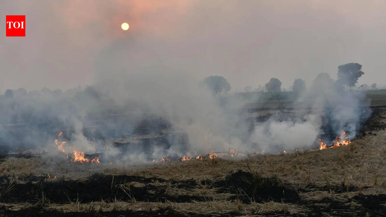 No subsidies, financial assistance if farmers found burning crop residue
