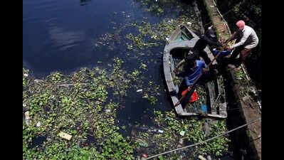 Microplastics are abundant in Kochi drains, finds Cochin varsity study