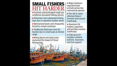 Marine fish landings in AP dropped by 13% in 2025