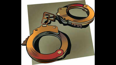 Woman creates ruckus at star hotel, assaults cops