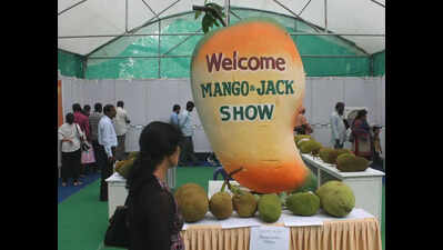 Sweet & staggered: Bengaluru to host not one but many mango melas this year