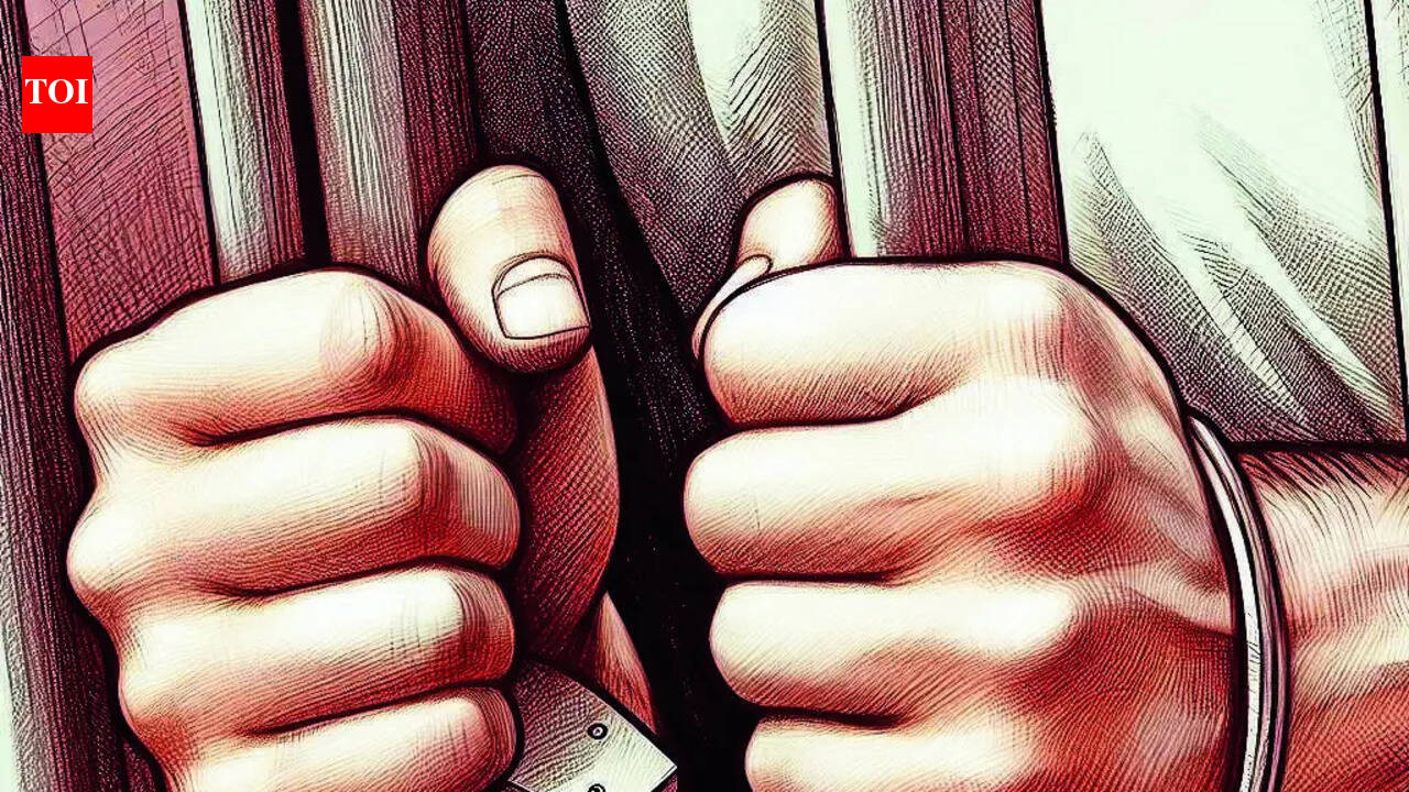 Husband held for killing wife in Sector 10A | Gurgaon News - The Times ...