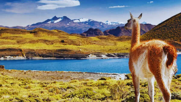 5 unique national parks in South America where waterfalls, wildlife and wilderness come alive