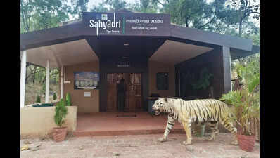 Kolhapur minister and MLAs oppose proposed forest corridor for Sahyadri Tiger Reserve