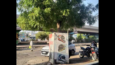 Civic body warns of action for damaging trees; zone-wise teams deployed to prevent monsoon mishaps