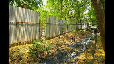 Illegal Bridges Cut Through Natural Nullah, Reduce It To A Stinking Undercurrent In East Shankar Nagar