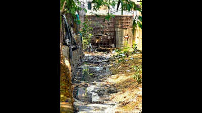 Illegal Bridges Cut Through Natural Nullah, Reduce It To A Stinking Undercurrent In East Shankar Nagar