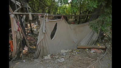 Illegal Bridges Cut Through Natural Nullah, Reduce It To A Stinking Undercurrent In East Shankar Nagar