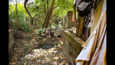 Illegal Bridges Cut Through Natural Nullah, Reduce It To A Stinking Undercurrent In East Shankar Nagar
