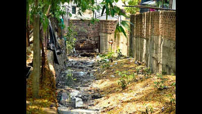Illegal Bridges Cut Through Natural Nullah, Reduce It To A Stinking Undercurrent In East Shankar Nagar