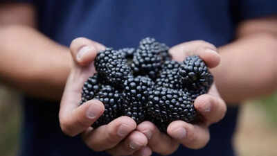 Sweeter British blackberries this summer: Aldi announces major nationwide switch in all stores from May 21