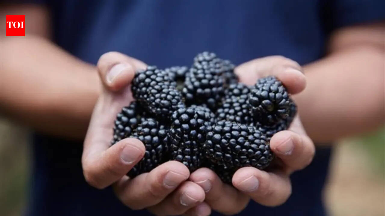 Sweeter British blackberries this summer: Aldi announces major nationwide switch in all stores from May 21