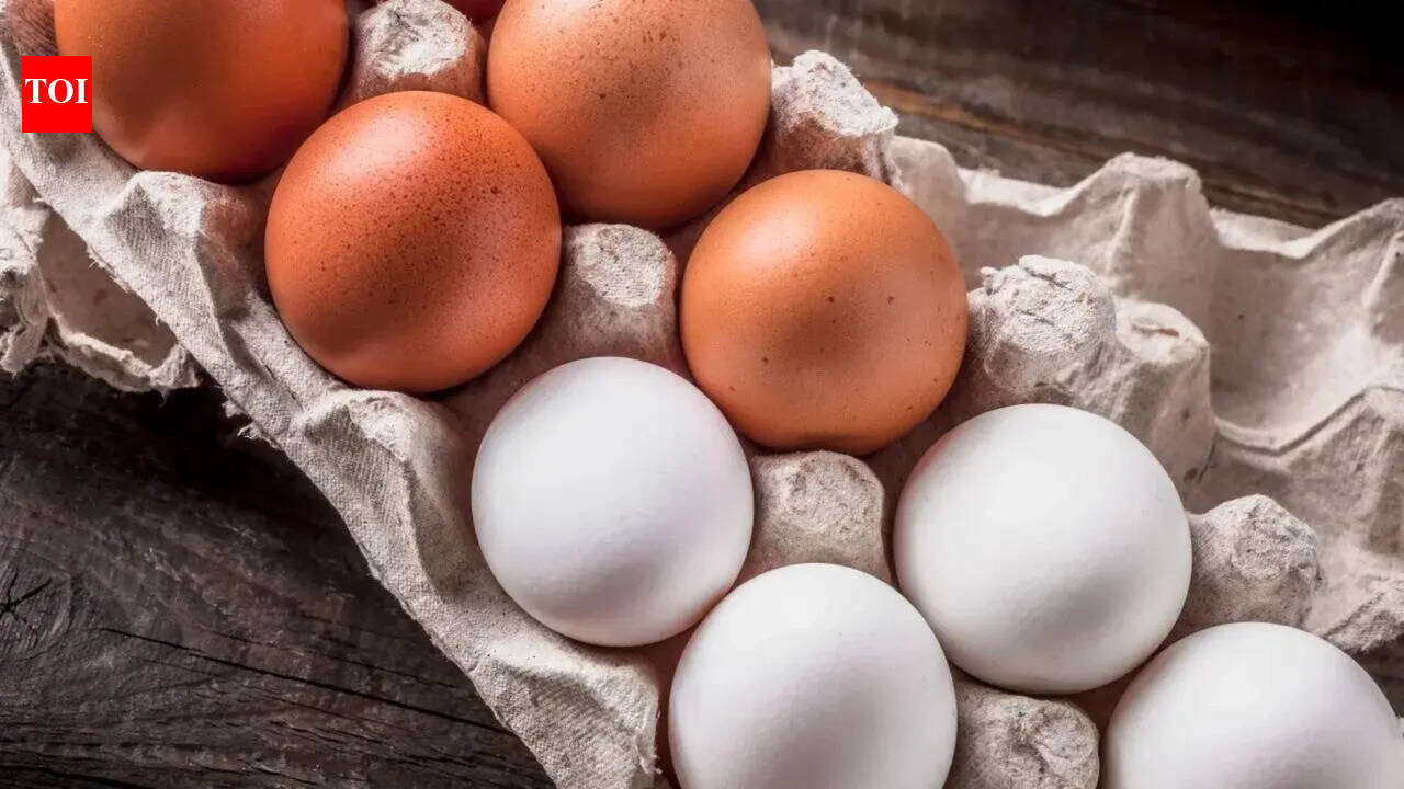 Eggs against Alzheimer’s: Study reveals how many eggs a week can boost your memory