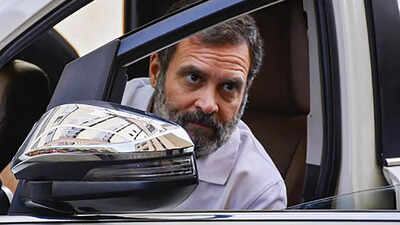  Rahul Gandhi’s 'infiltrator' jab aft  West Bengal, Assam predetermination  results
