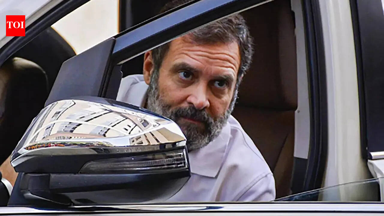 'Every 6th BJP MP in Lok Sabha won through vote theft': Rahul’s 'infiltrator' jab after poll results