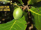 How to use Kakadu plum for its anti-ageing skin benefits