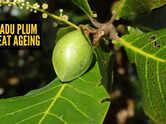 How to use Kakadu plum for its anti-ageing skin benefits