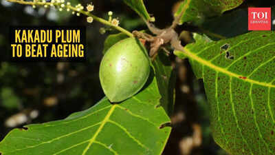 How to use Kakadu plum for its anti-ageing skin benefits
