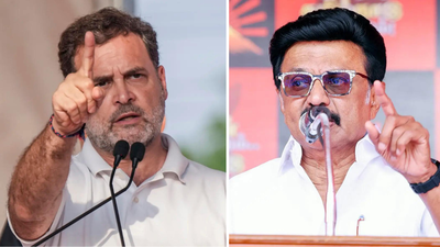 'Backstabbers': INDIA bloc cracks out in open; DMK attacks ally Congress over support to TVK's Vijay in Tamil Nadu
