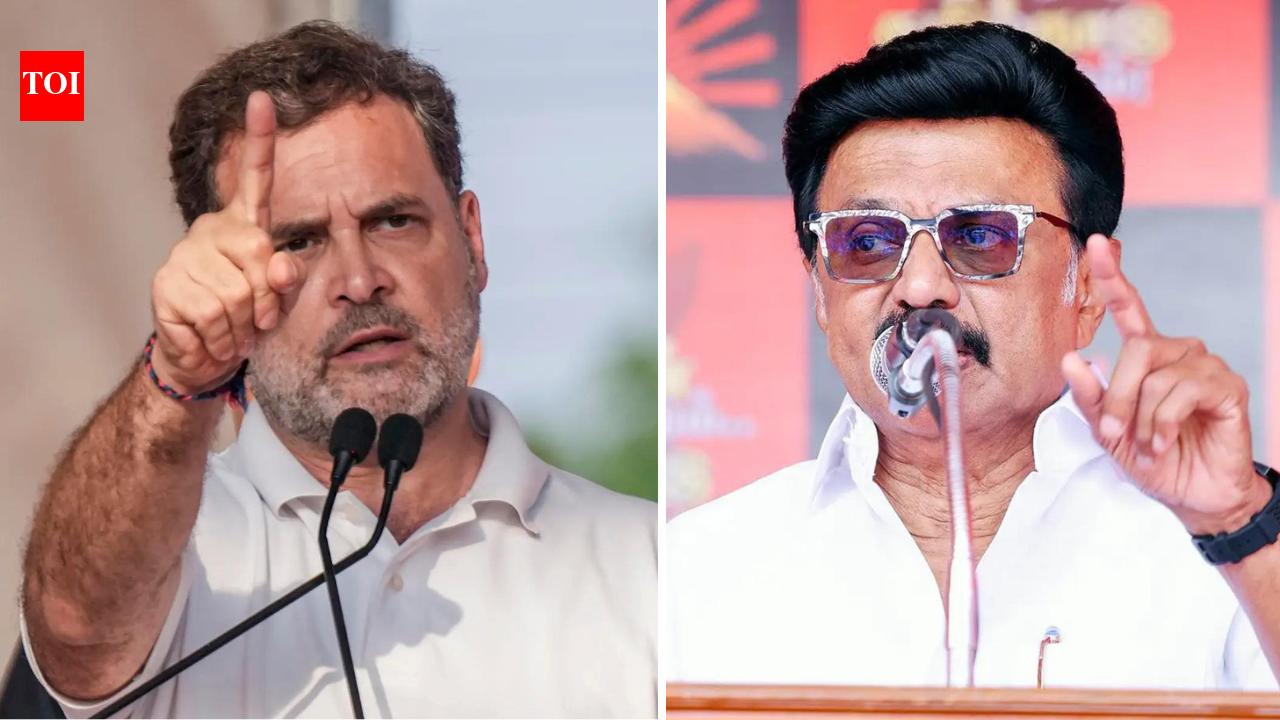 'Backstabbers': INDIA bloc cracks out in the open as Congress backs Vijay over ally DMK
