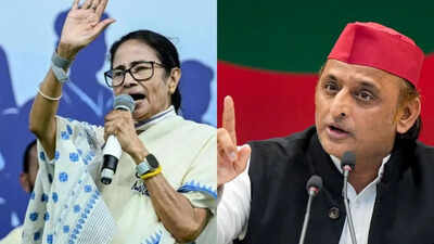 Post-TMC rout, I-PAC’s deal with SP for 2027 polls hangs in balance