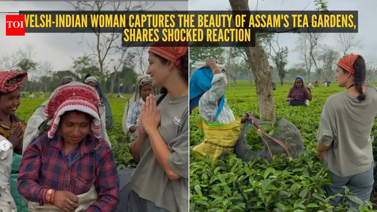'Most humbling day of my life': Welsh-Indian woman captures the beauty of Assam's tea garden, shares unexpected reaction